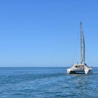 Excursion catamaran - Ile aux Bénitiers